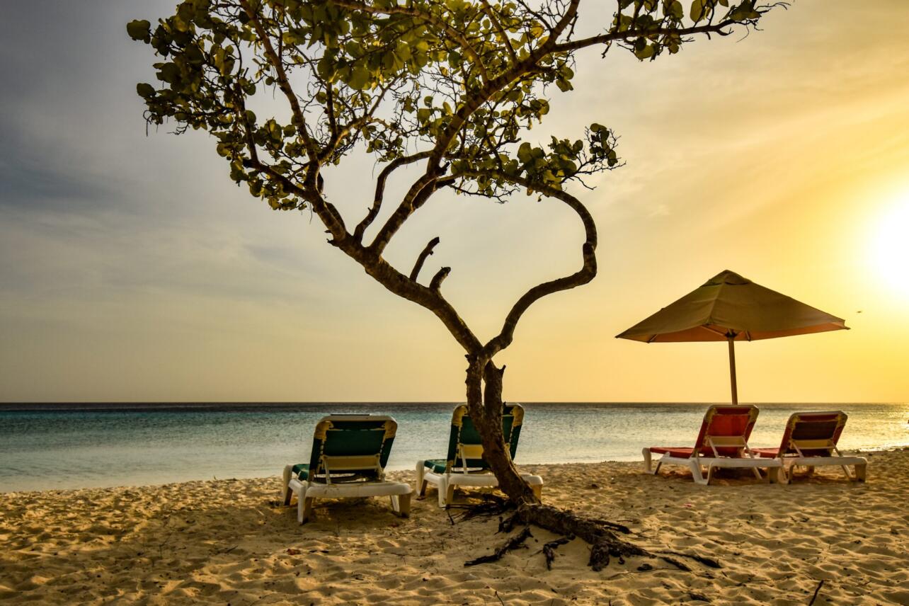 Czy na Curacao są jeżowce?