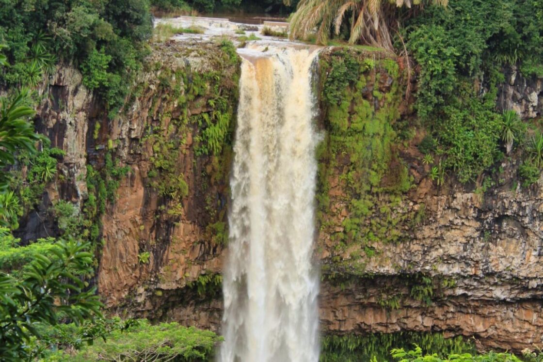 Czy na Mauritiusie są jeżowce?