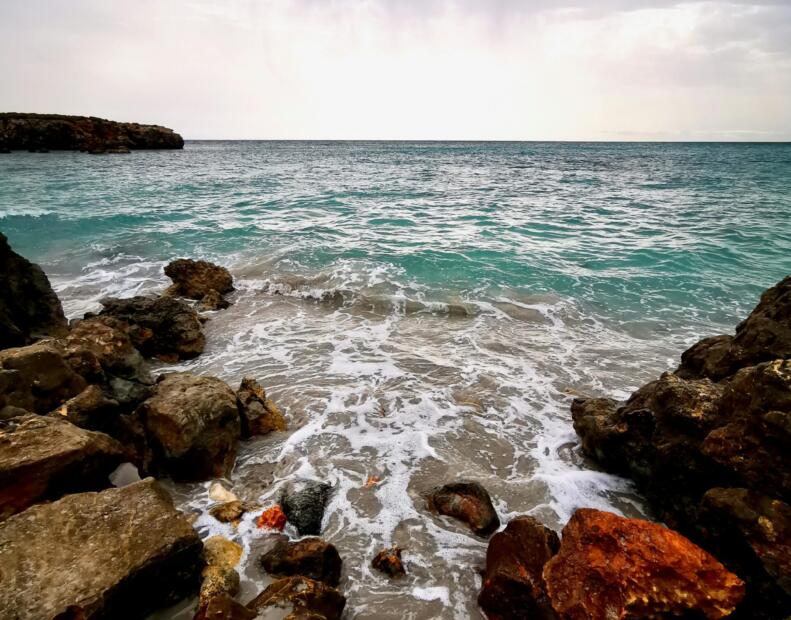 Czy jeżowce można spotkać na plażach Minorki?