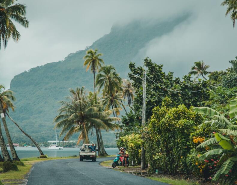 Czy jeżowce można spotkać na plażach Bora Bora?