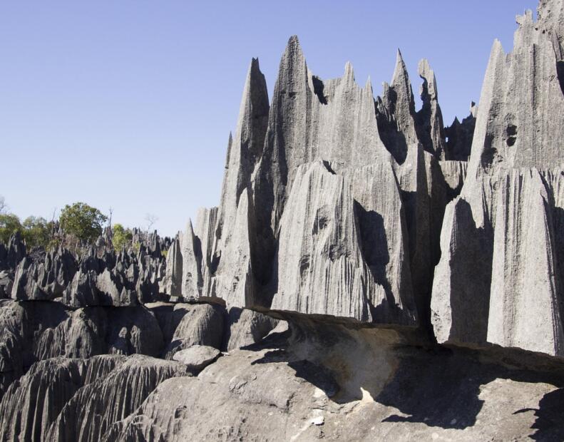 Czy jeżowce można spotkać na plażach Madagaskaru?