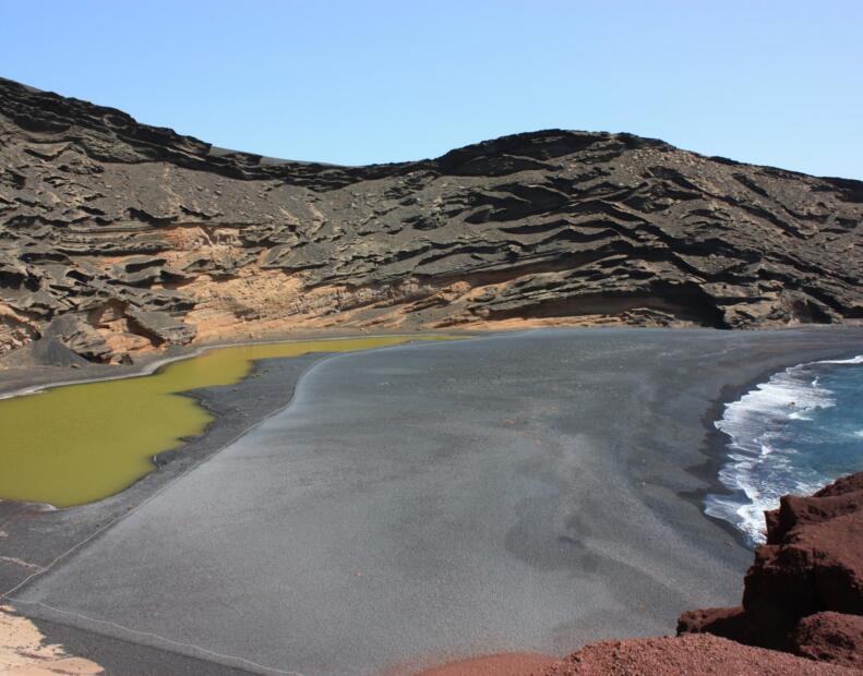 Czy jeżowce można spotkać na plażach Lanzarote?
