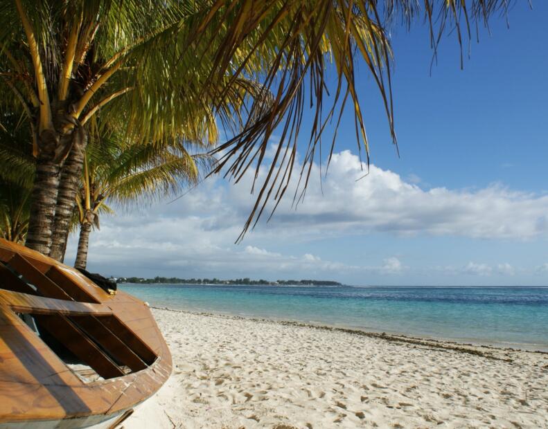 Czy jeżowce można spotkać na plażach Mauritiusu?