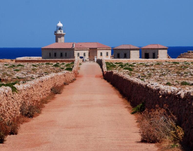 Co zrobić po kontakcie z jeżowcem na Minorce?