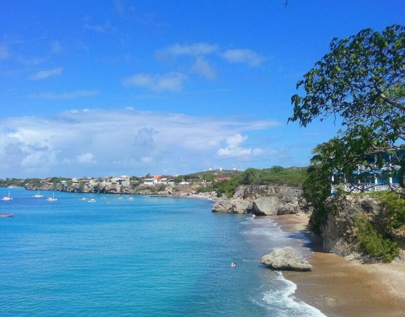 Co zrobić po kontakcie z jeżowcem na Curacao?