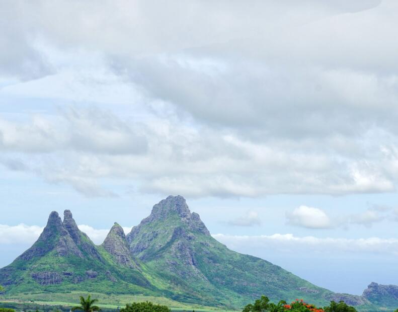Co zrobić po kontakcie z jeżowcem na Mauritiusie?
