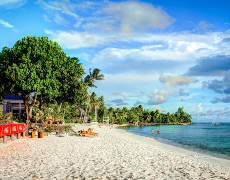 Jak chronić się przed jeżowcami, jeśli występują.