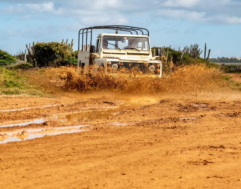 Jak chronić się przed jeżowcami, jeśli występują.