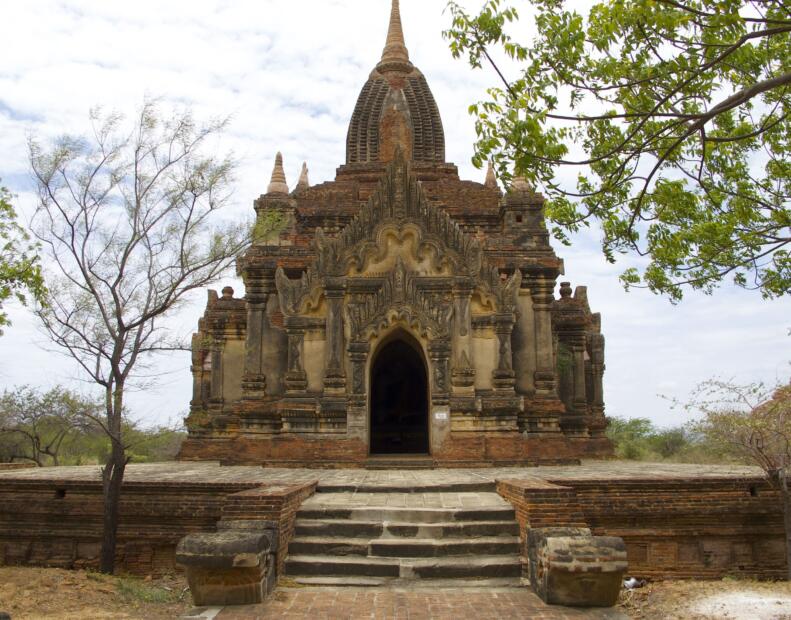 Co zrobić po kontakcie z jeżowcem w Birmie?