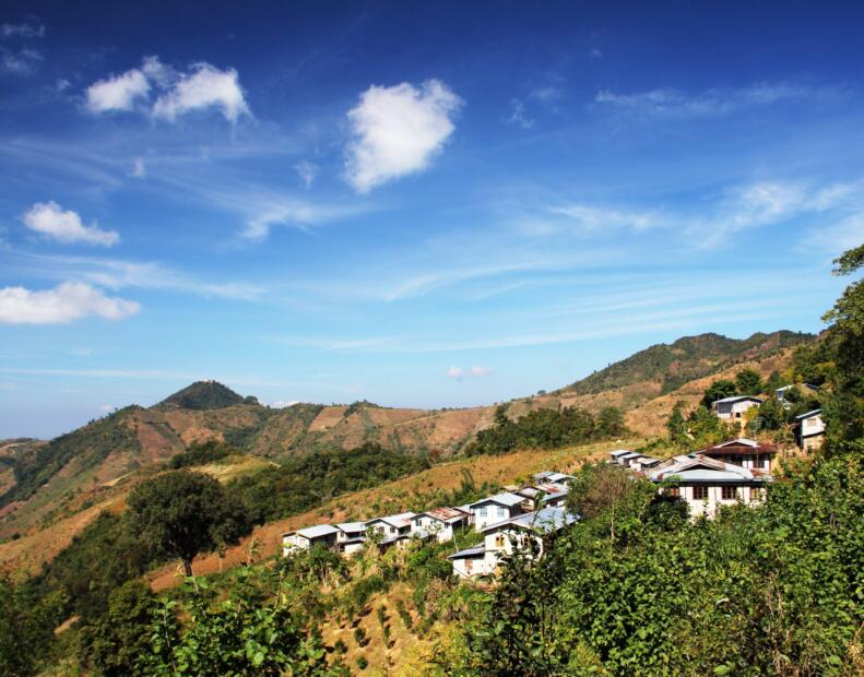 Jak chronić się przed jeżowcami, jeśli występują.