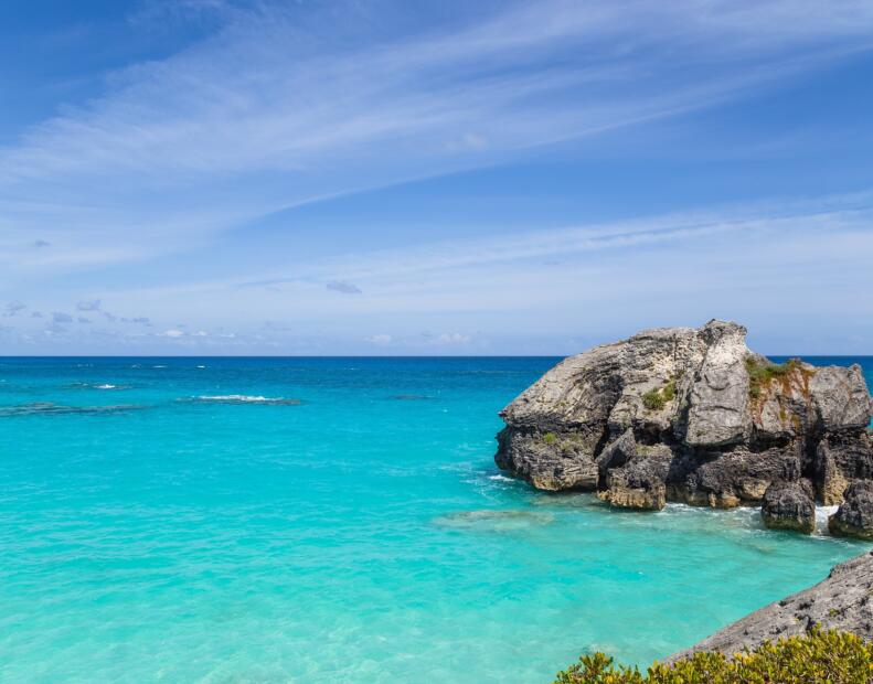 Jak chronić się przed jeżowcami, jeśli występują.